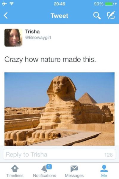 You Just Can't Fix Stupid (28 pics)