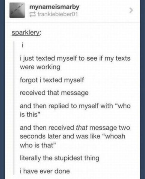 You Just Can't Fix Stupid (28 pics)