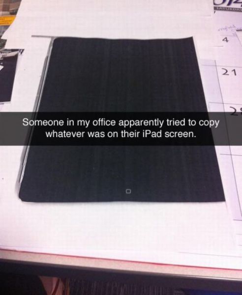 You Just Can't Fix Stupid (28 pics)