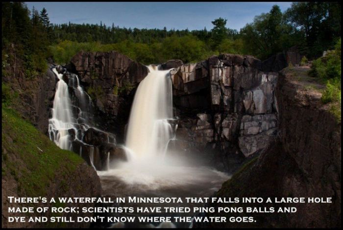 Strange And Surprising Science Discoveries (24 pics)