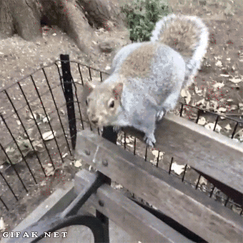 Acid Gifdump, September 19, 2014 (25 gifs)
