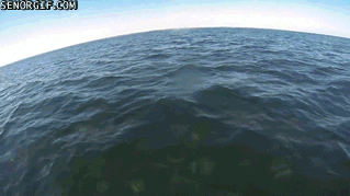 Acid Gifdump, September 22, 2014 (25 gifs)