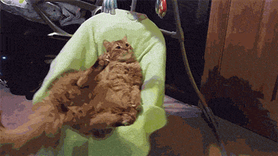 Acid Gifdump, September 22, 2014 (25 gifs)