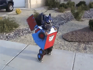 Acid Gifdump, September 22, 2014 (25 gifs)