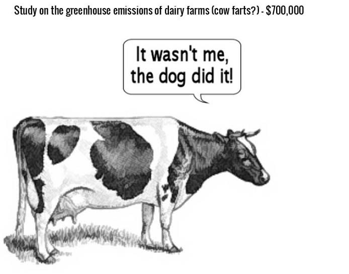 What Your Tax Dollars Really Pay For (16 pics)