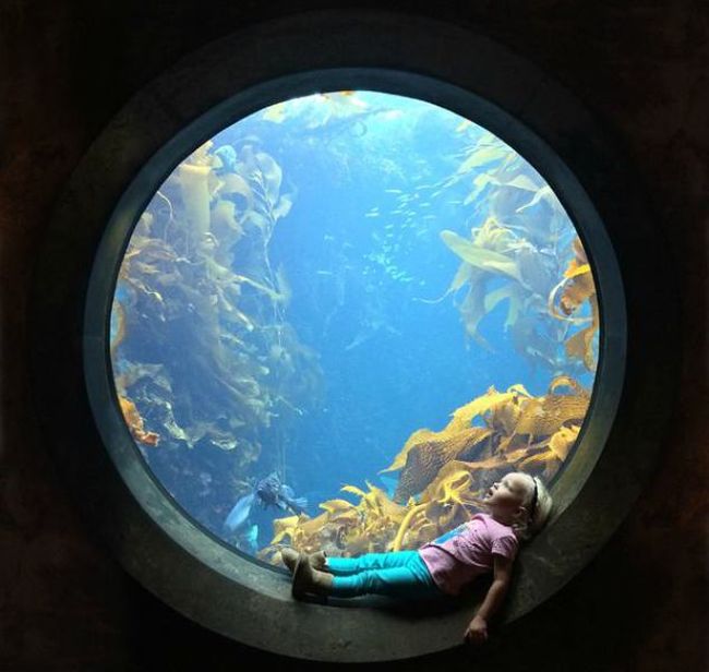 The Future Is In Good Hands When These Kids Become Adults (23 pics)