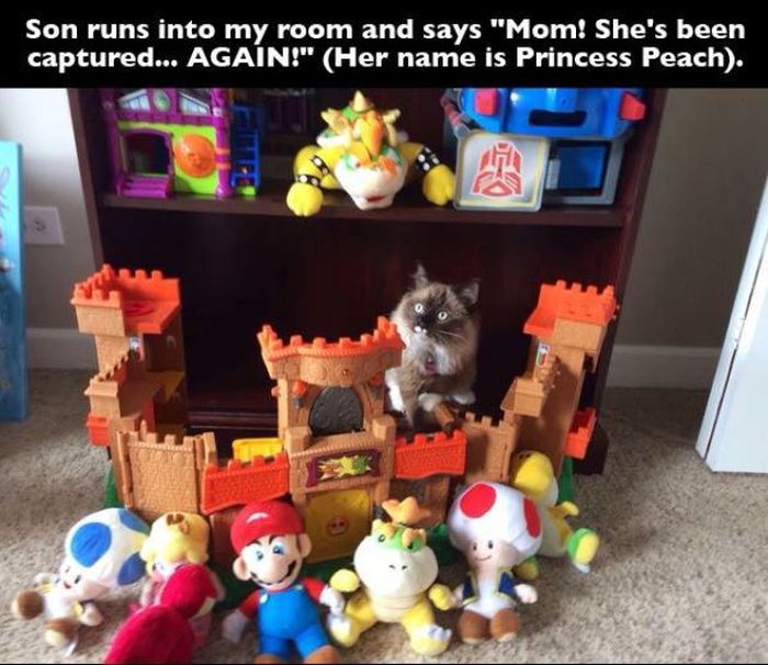 The Future Is In Good Hands When These Kids Become Adults (23 pics)