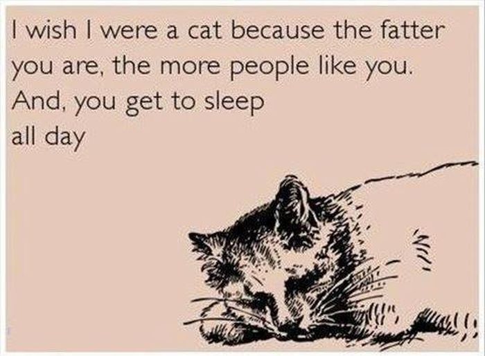 E-cards To Help You Express Your Inner Emotions (28 pics)
