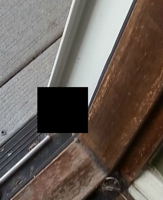 Creepy Surprise At The Door (3 pics)