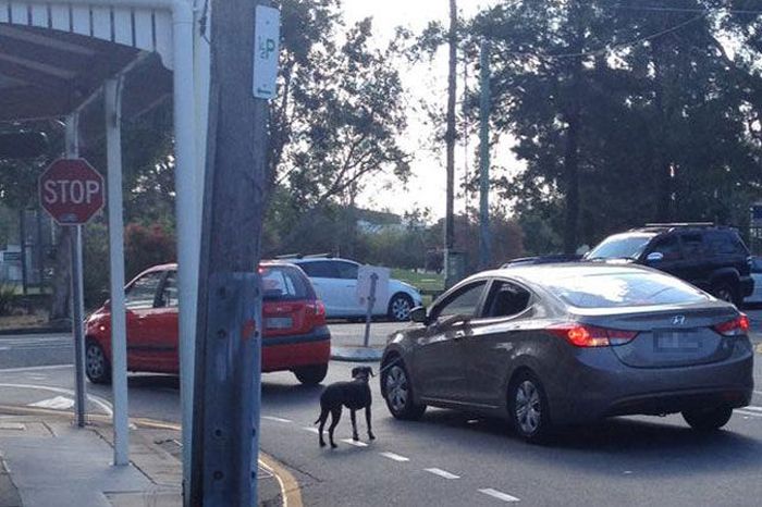 If You Do These Things You're Definitely A Jerk (48 pics)