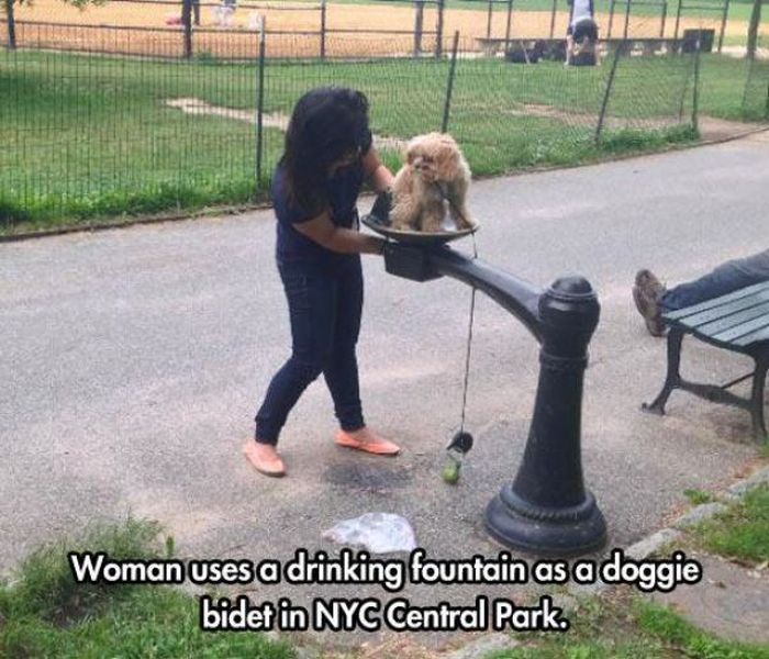 If You Do These Things You're Definitely A Jerk (48 pics)