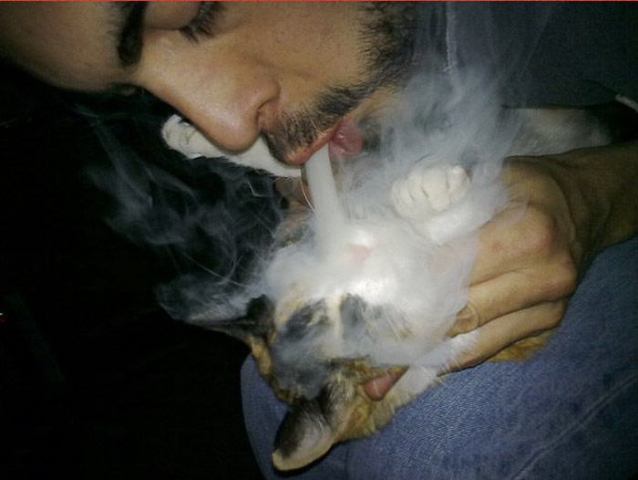 If You Do These Things You're Definitely A Jerk (48 pics)