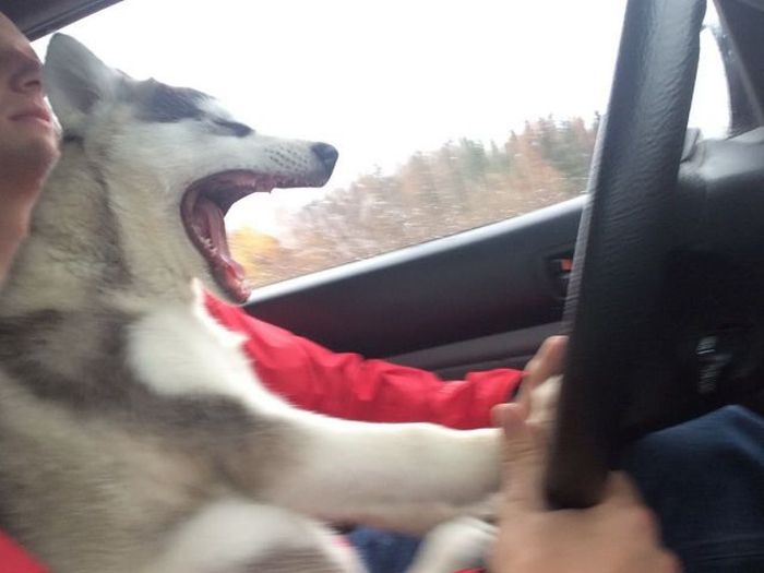 Acid Picdump (134 pics)