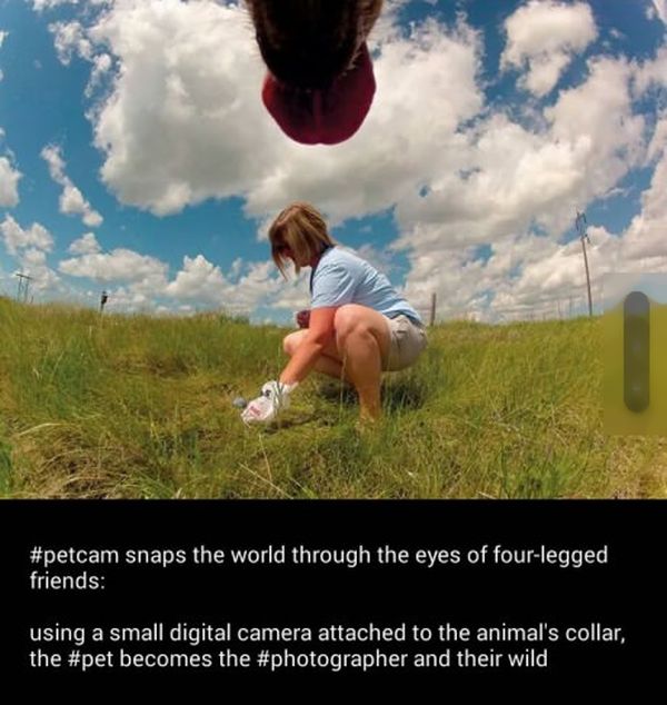 Acid Picdump (134 pics)