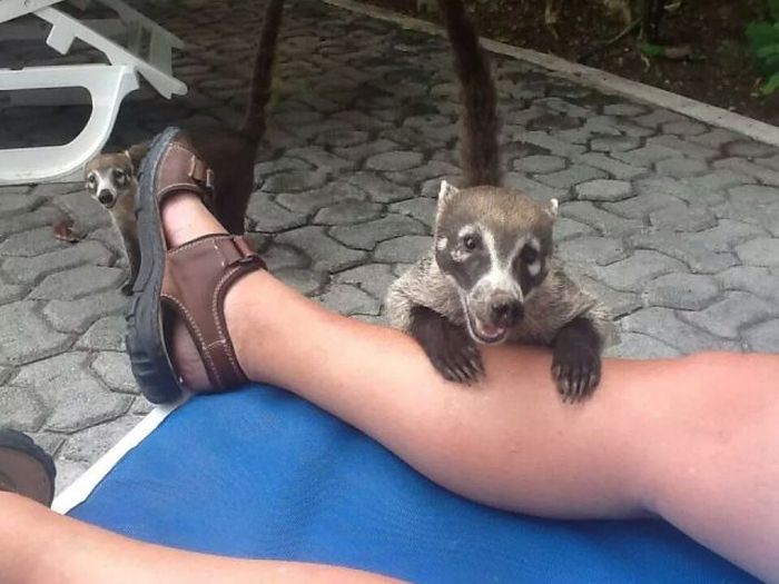 Acid Picdump (134 pics)