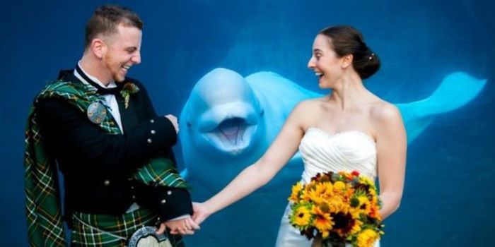 Acid Picdump (134 pics)
