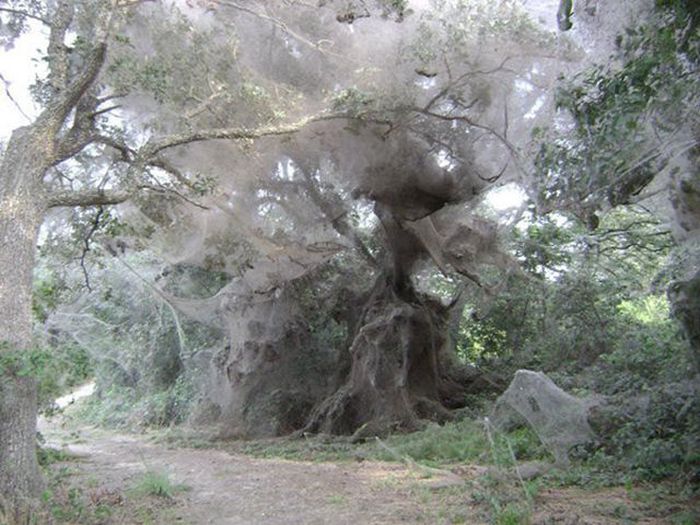 Acid Picdump (134 pics)