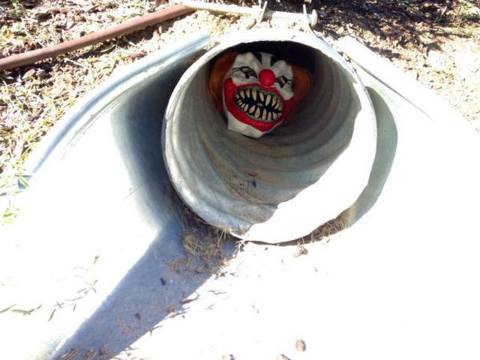 Acid Picdump (134 pics)