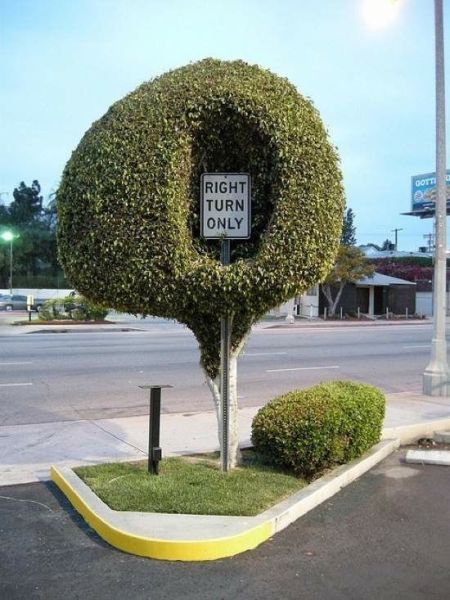 Acid Picdump (134 pics)