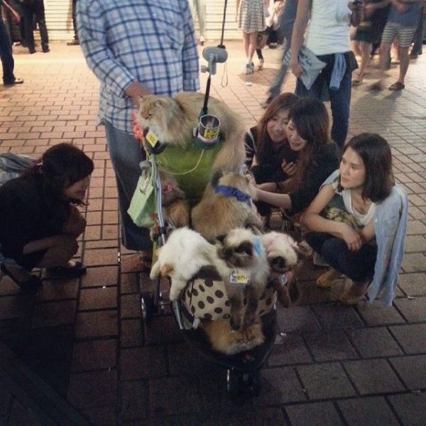 Acid Picdump (134 pics)