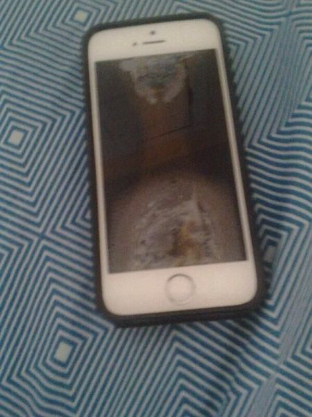People Still Fall For The iPhone In The Microwave Prank (5 pics)