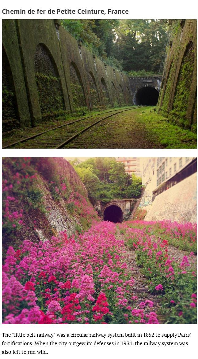 When Nature Reclaims Civilization (43 pics)