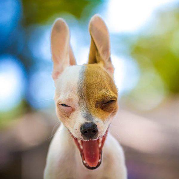 Acid Picdump (151 pics)