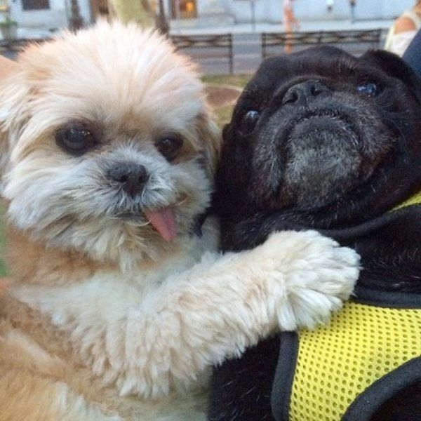 Acid Picdump (151 pics)