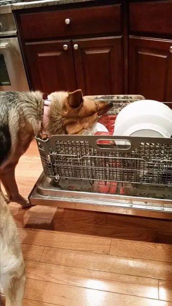 Acid Picdump (151 pics)
