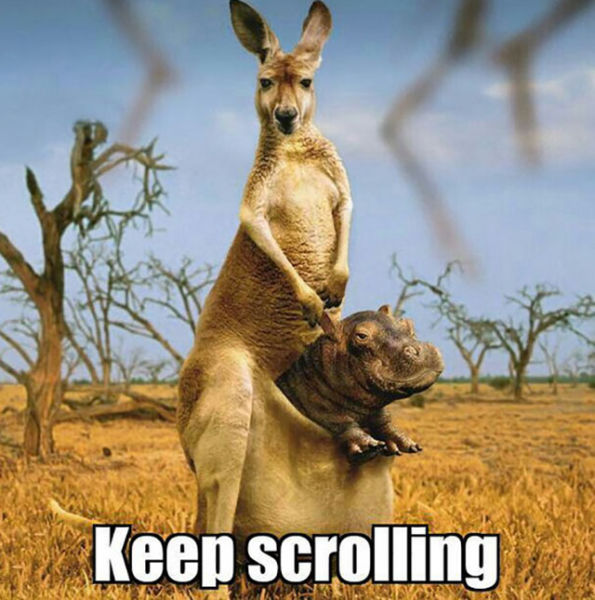 Acid Picdump (151 pics)