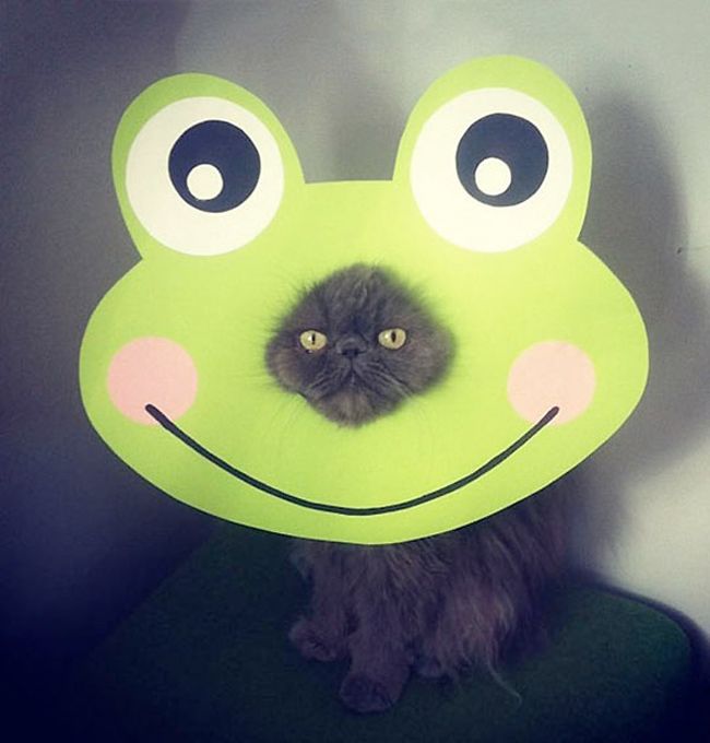 Acid Picdump (151 pics)