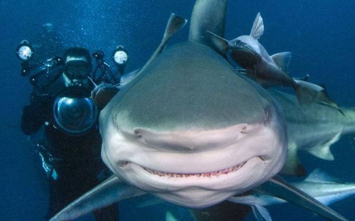 Acid Picdump (151 pics) Acid Picdump (151 pics)