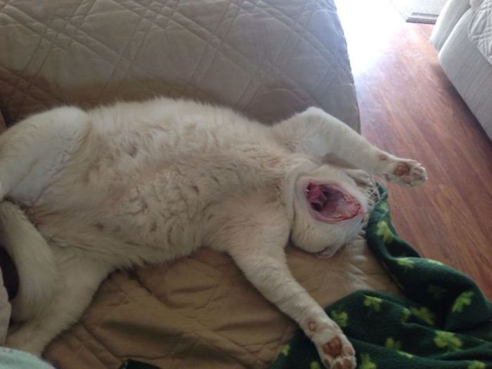 Acid Picdump (151 pics)