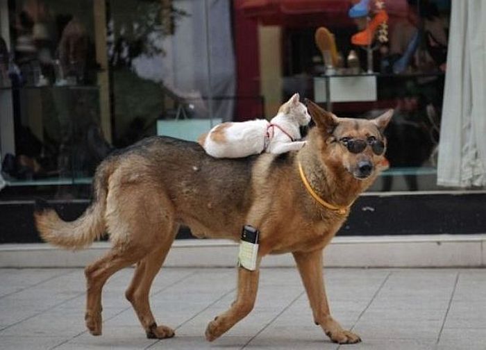 Acid Picdump (151 pics)