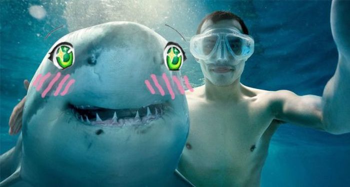 Acid Picdump (151 pics)