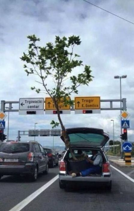 Acid Picdump (151 pics) Acid Picdump (151 pics)