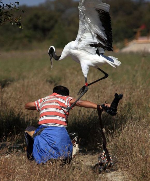 Photographer Gets Into A Fight With A Crane (10 pics)