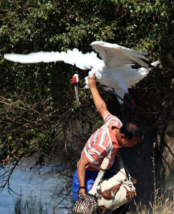 Photographer Gets Into A Fight With A Crane (10 pics)