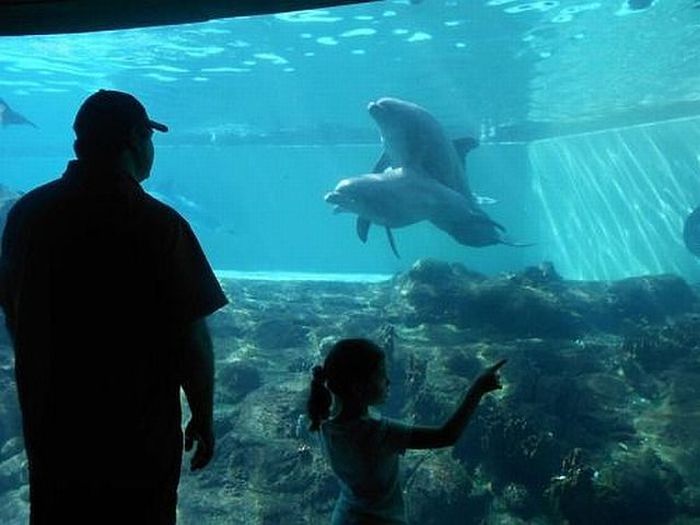 Acid Picdump (114 pics)