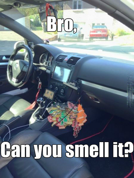 Acid Picdump (114 pics)