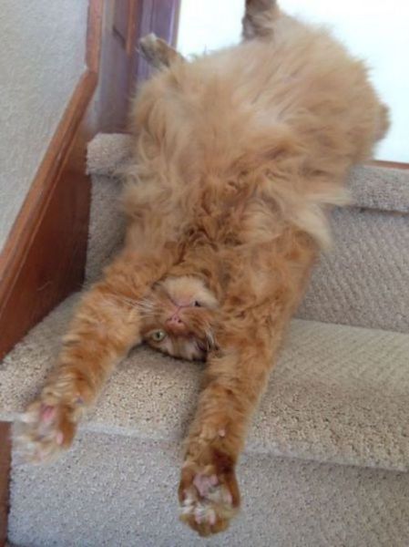 Acid Picdump (114 pics)