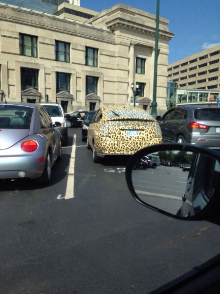 Acid Picdump (114 pics)
