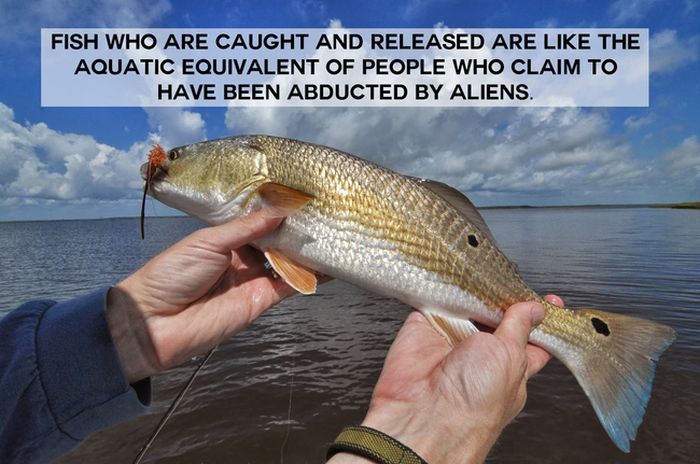 This Will Change The Way You See Animals (18 pics)