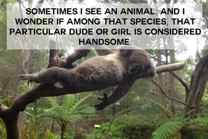 This Will Change The Way You See Animals (18 pics)