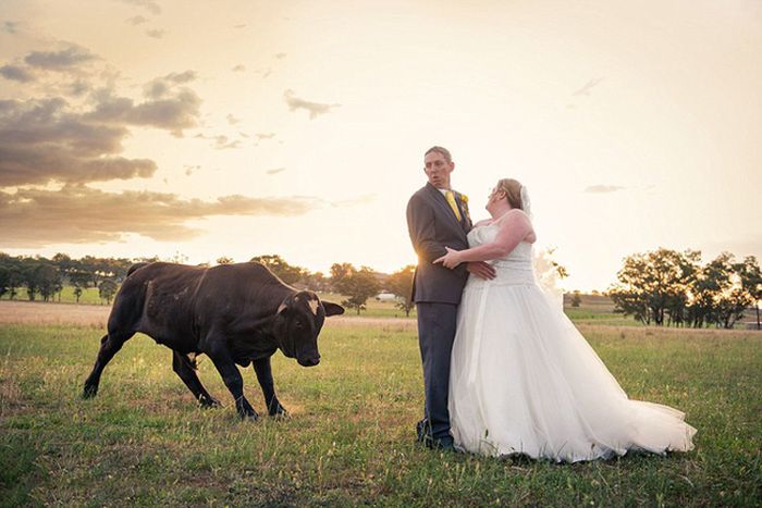 Couple Gets Unexpected Guest At Their Wedding (9 pics)