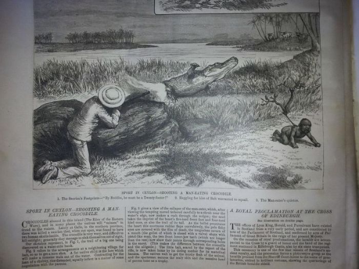Using Humans To Hunt Crocodiles (4 pics)