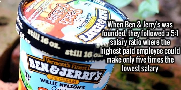 Give Your Brain A Healthy Meal With These Fun Facts (34 pics)