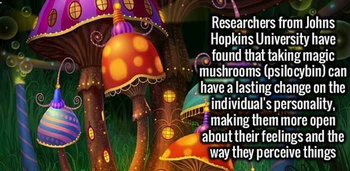 Give Your Brain A Healthy Meal With These Fun Facts (34 pics)