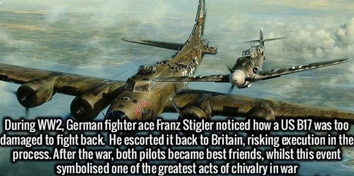 Give Your Brain A Healthy Meal With These Fun Facts (34 pics)