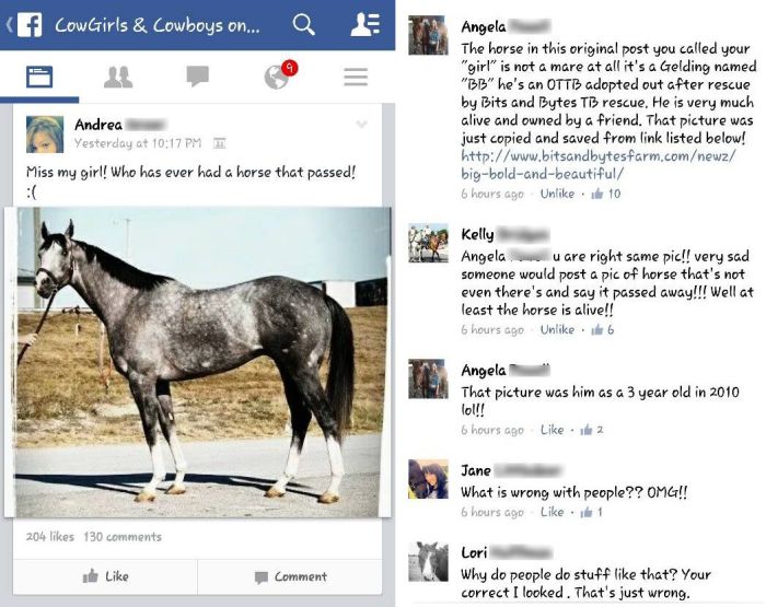 These People Got Busted For Lying On The Internet (22 pics)